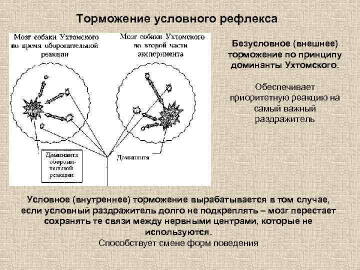 По которое обеспечивает согласованную работу всех узлов компьютера