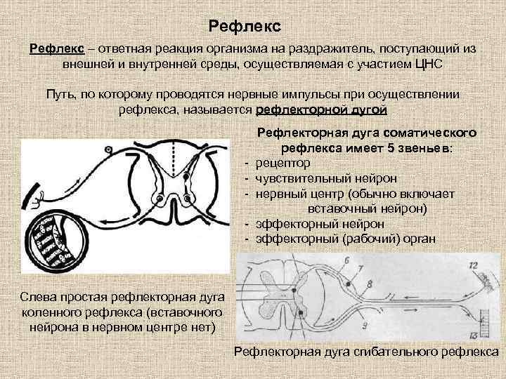 По которое обеспечивает согласованную работу всех узлов компьютера