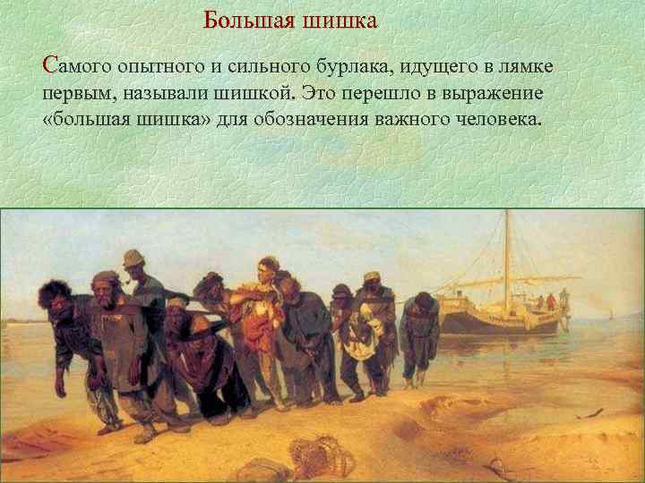 Большая шишка Самого опытного и сильного бурлака, идущего в лямке первым, называли шишкой. Это
