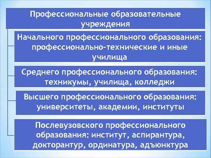 Профессиональные образовательные учреждения Начального профессионального образования: профессионально-технические и иные училища Среднего профессионального образования: техникумы,