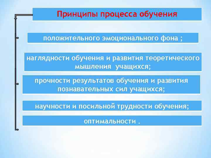 Принципы процесса обучения положительного эмоционального фона ; наглядности обучения и развития теоретического мышления учащихся;