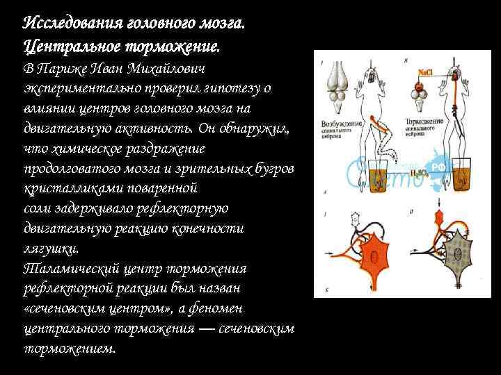 Схема торможения сеченова