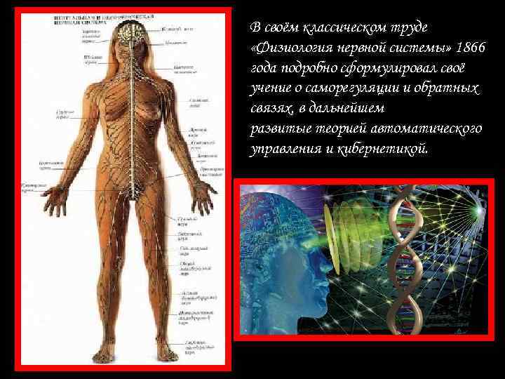 В своём классическом труде «Физиология нервной системы» 1866 года подробно сформулировал своё учение о