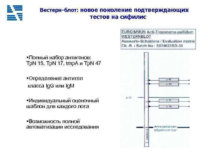 Вестерн-блот: новое поколение подтверждающих тестов на сифилис §Полный набор антигенов: Tp. N 15, Tp.