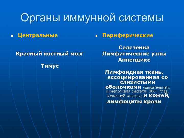 Органы иммунной системы n Центральные Красный костный мозг Тимус n Периферические Селезенка Лимфатические узлы