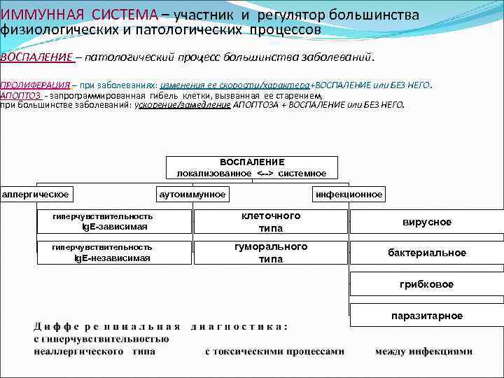 Система участников