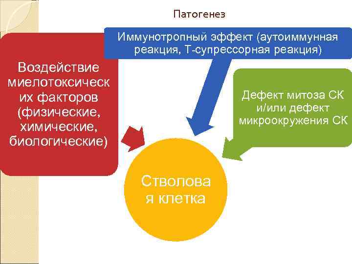 Патогенез Иммунотропный эффект (аутоиммунная реакция, Т-супрессорная реакция) Воздействие миелотоксическ их факторов (физические, химические, биологические)