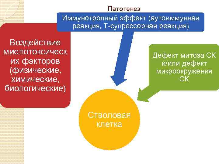 Патогенез Иммунотропный эффект (аутоиммунная реакция, Т-супрессорная реакция) Воздействие миелотоксическ их факторов (физические, химические, биологические)