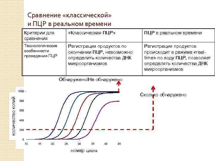 Сравнение «классической» и ПЦР в реальном времени Критерии для сравнения «Классическая ПЦР» ПЦР в