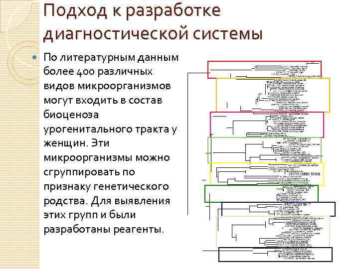 Подход к разработке диагностической системы По литературным данным более 400 различных видов микроорганизмов могут