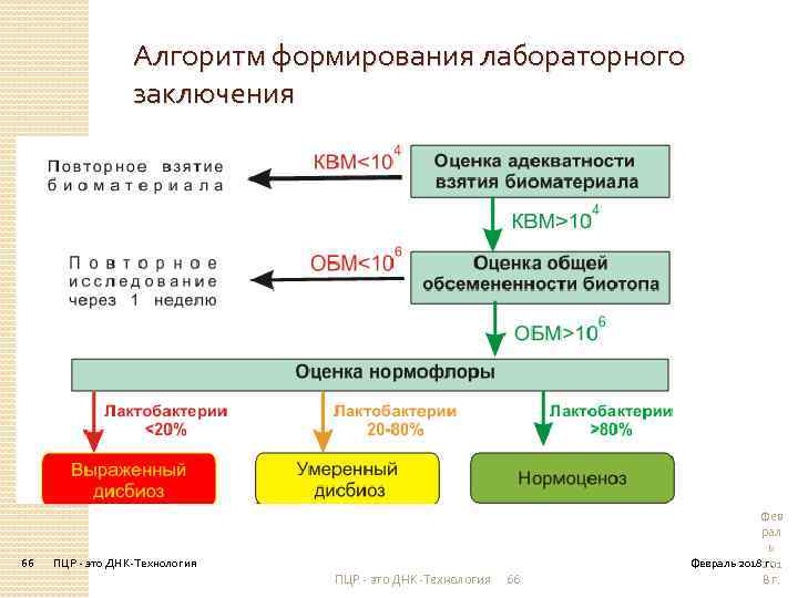 Алгоритм формирования лабораторного заключения 66 ПЦР - это ДНК-Технология 66 Фев рал ь Февраль