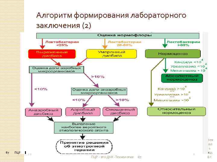 Алгоритм формирования лабораторного заключения (2) 67 ПЦР - это ДНК-Технология 67 Фев рал ь