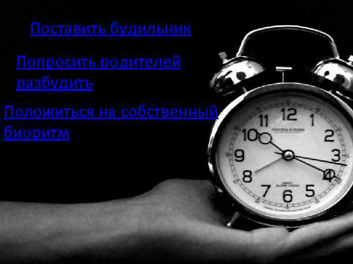 Поставить будильник Попросить родителей разбудить Положиться на собственный биоритм 