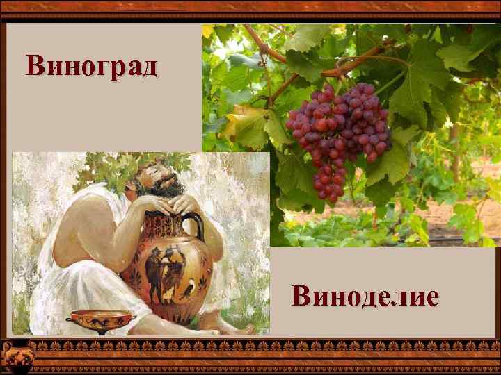 Виноград Виноделие 