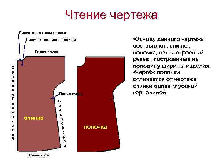 Чтение чертежа Линия горловины спинки • Основу данного чертежа составляют: спинка, полочка, цельнокроеный рукав