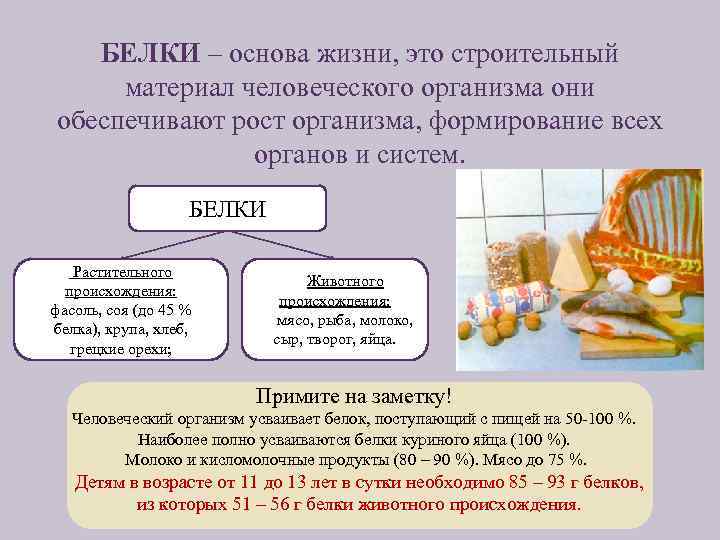  БЕЛКИ – основа жизни, это строительный материал человеческого организма они обеспечивают рост организма,