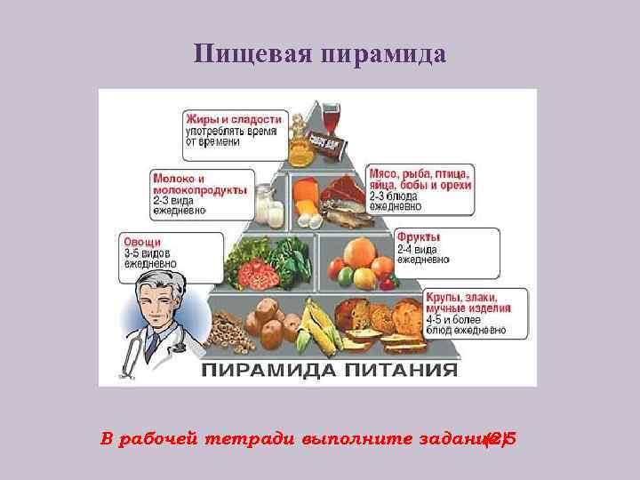 Пищевая пирамида В рабочей тетради выполните задание 5 (2) 