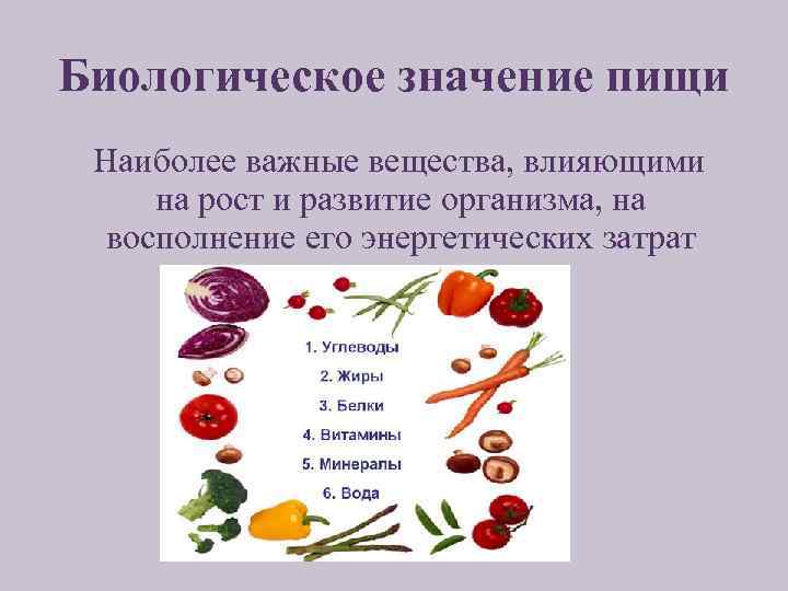 Биологическое значение пищи Наиболее важные вещества, влияющими на рост и развитие организма, на восполнение