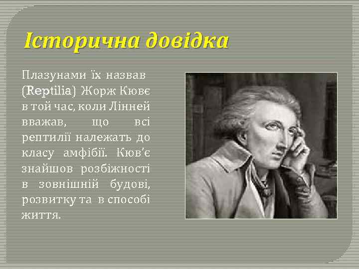 Історична довідка Плазунами їх назвав (Reptilia) Жорж Кювє в той час, коли Лінней вважав,