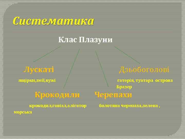 Систематика Клас Плазуни Лускаті ящірки, змії, вужі Крокодили крокодил, гавіал, алігатор морська Дзьобоголові гатерія,