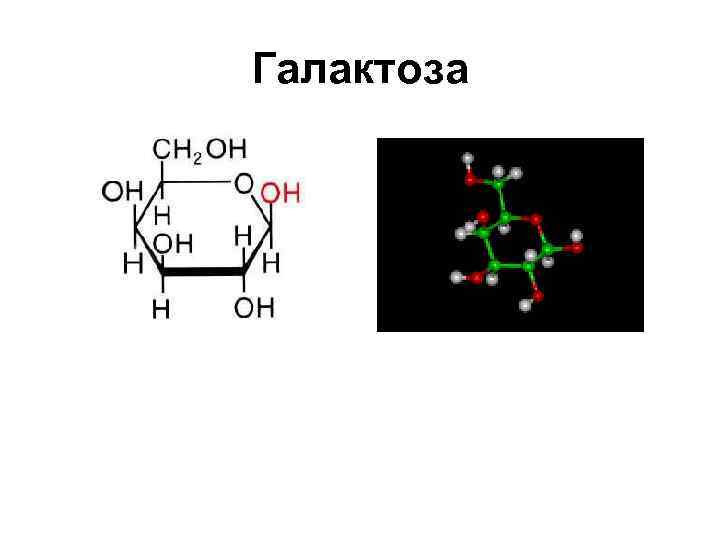 Галактоза 