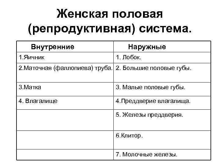 Женская половая (репродуктивная) система. Внутренние Наружные 1. Яичник 1. Лобок. 2. Маточная (фаллопиева) труба.