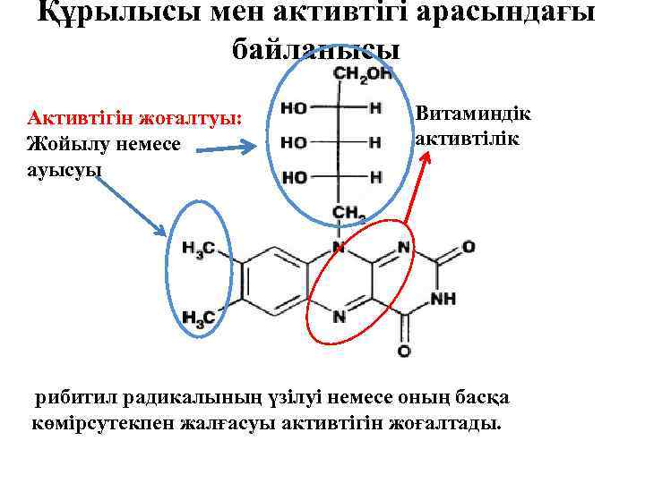 Құрылысы мен активтігі арасындағы байланысы Активтігін жоғалтуы: Жойылу немесе ауысуы Витаминдік активтілік рибитил радикалының