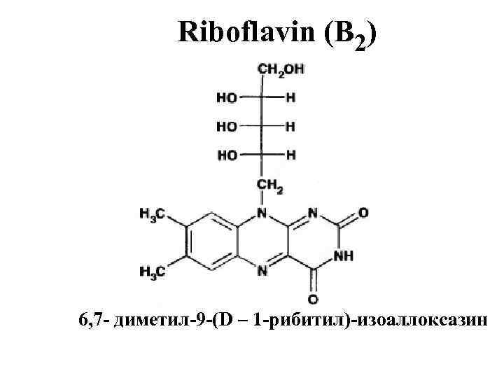 Riboflavin (В 2) 6, 7 - диметил-9 -(D – 1 -рибитил)-изоаллоксазин 