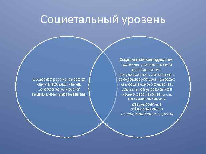 Социетальный уровень Общество рассматривается как метаобъединение, которое регулируется социальным управлением. Социальный менеджмент все виды