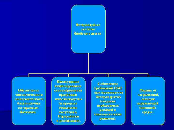 Ветеринарные аспекты биобезопасности Обеспечение эпизоотического (эпидемического) благополучия по заразным болезням. Недопущение инфицирования (инвазирования) продукции