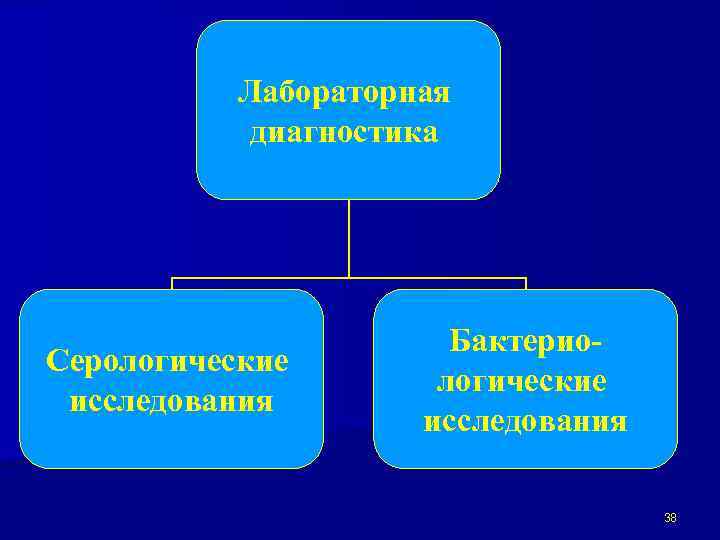 Лабораторная диагностика Серологические исследования Бактериологические исследования 38 