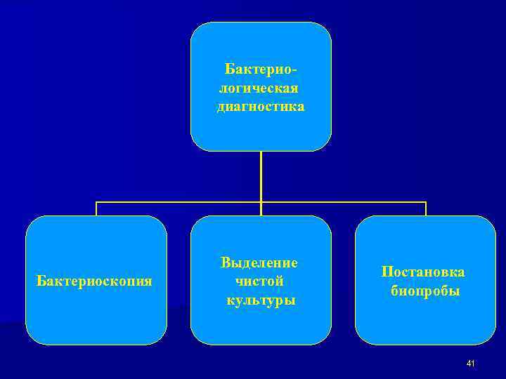 Бактериологическая диагностика Бактериоскопия Выделение чистой культуры Постановка биопробы 41 