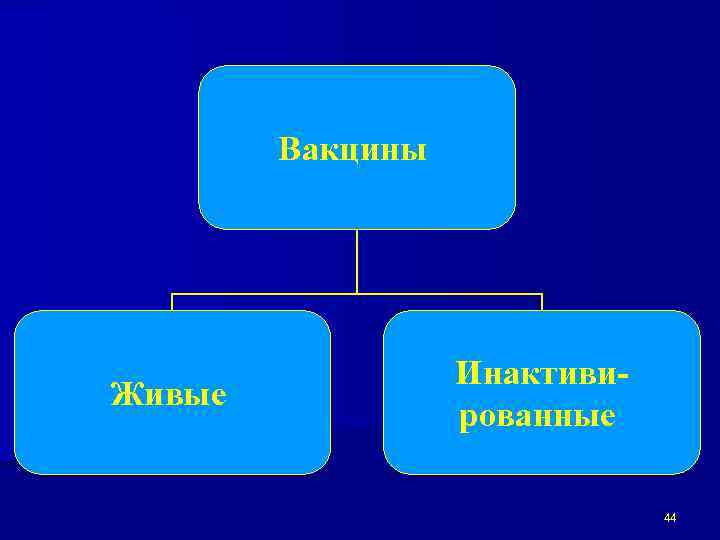 Вакцины Живые Инактивированные 44 