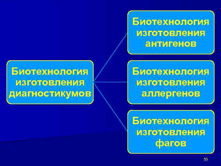 Биотехнология изготовления антигенов Биотехнология изготовления диагностикумов Биотехнология изготовления аллергенов Биотехнология изготовления фагов 53 