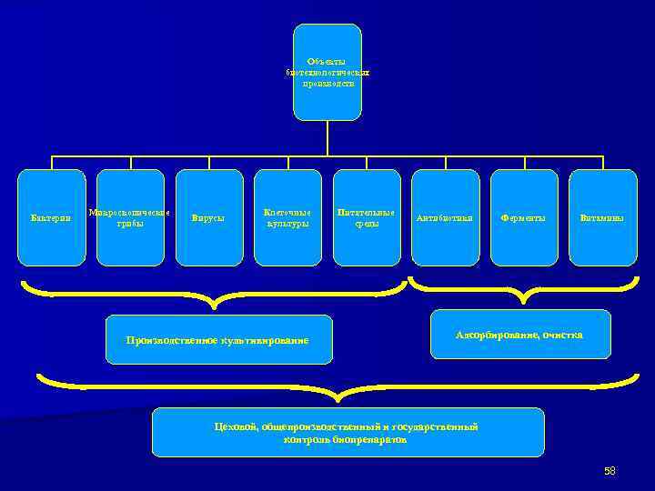 Объекты биотехнологических производств Бактерии Микроскопические грибы Вирусы Клеточные культуры Производственное культивирование Питательные среды Антибиотики