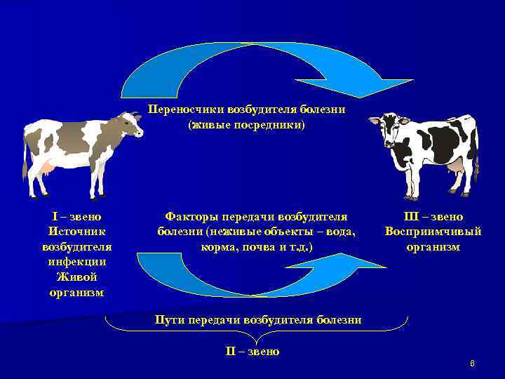Переносчики возбудителя болезни (живые посредники) I – звено Источник возбудителя инфекции Живой организм Факторы