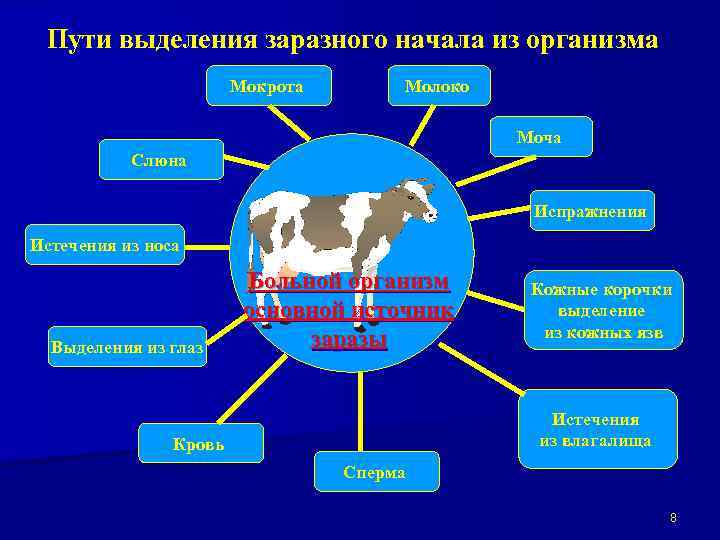 Пути выделения заразного начала из организма Мокрота Молоко Моча Слюна Испражнения Истечения из носа