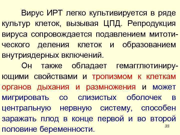 Вирус ИРТ легко культивируется в ряде культур клеток, вызывая ЦПД. Репродукция вируса сопровождается подавлением