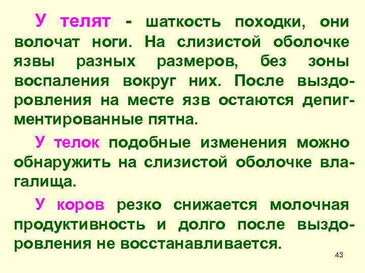 У телят - шаткость походки, они волочат ноги. На слизистой оболочке язвы разных размеров,