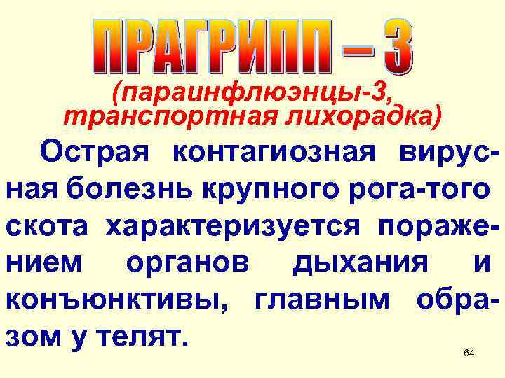 (параинфлюэнцы-3, транспортная лихорадка) Острая контагиозная вирусная болезнь крупного рога-того скота характеризуется поражением органов дыхания