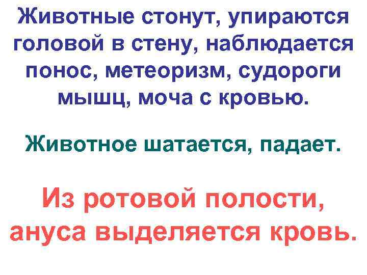 Животные стонут, упираются головой в стену, наблюдается понос, метеоризм, судороги мышц, моча с кровью.