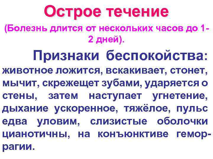 Острое течение (Болезнь длится от нескольких часов до 12 дней). Признаки беспокойства: животное ложится,