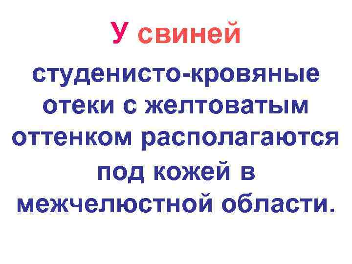 У свиней студенисто-кровяные отеки с желтоватым оттенком располагаются под кожей в межчелюстной области. 