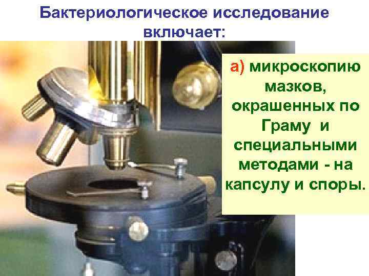 Бактериологическое исследование включает: а) микроскопию мазков, окрашенных по Граму и специальными методами - на