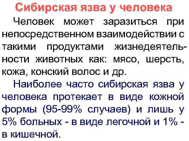 Сибирская язва у человека Человек может заразиться при непосредственном взаимодействии с такими продуктами жизнедеятельности