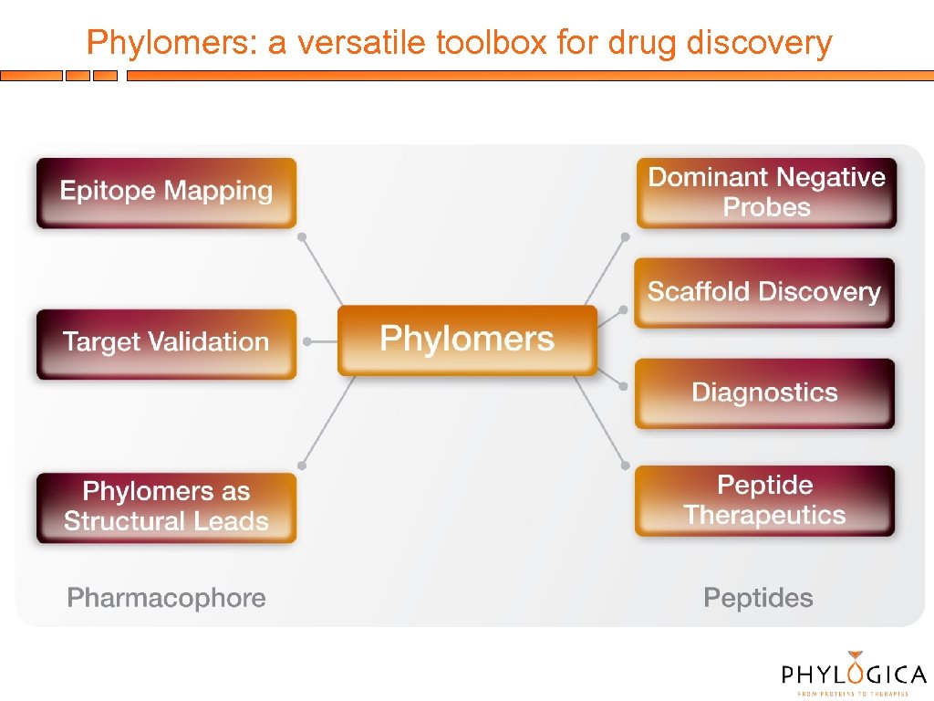 Phylomers: a versatile toolbox for drug discovery 