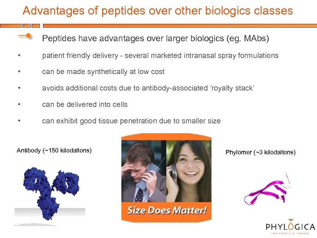 Advantages of peptides over other biologics classes Peptides have advantages over larger biologics (eg.