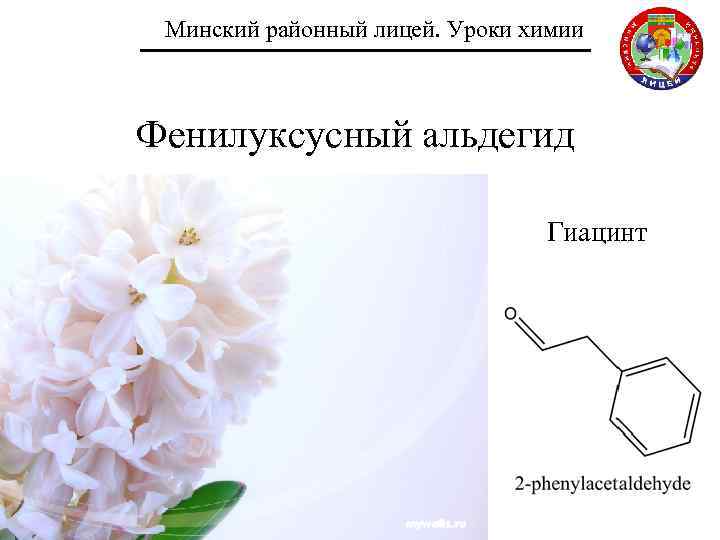 Минский районный лицей. Уроки химии Фенилуксусный альдегид Гиацинт 