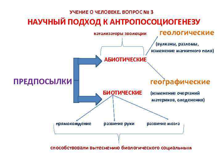  УЧЕНИЕ О ЧЕЛОВЕКЕ. ВОПРОС № 3 НАУЧНЫЙ ПОДХОД К АНТРОПОСОЦИОГЕНЕЗУ катализаторы эволюции геологические
