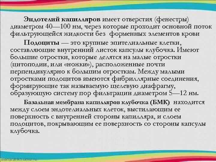 Эндотелий капилляров имеет отверстия (фенестры) диаметром 40— 100 нм, через которые проходит основной поток